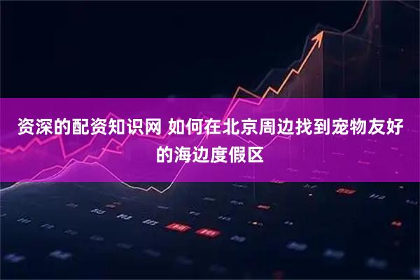 资深的配资知识网 如何在北京周边找到宠物友好的海边度假区